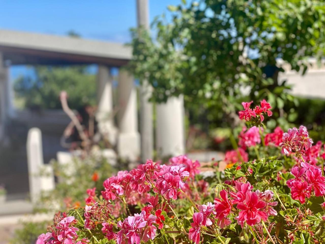 Casa Zagami Villa Malfa  Eksteriør billede