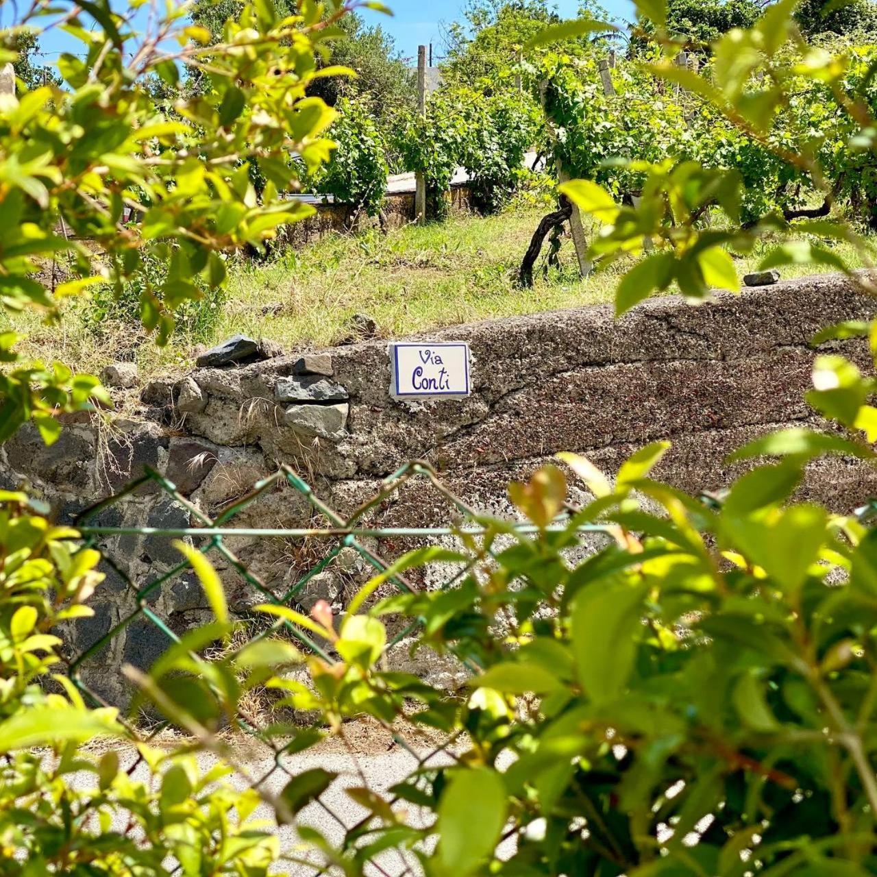 Casa Zagami Villa Malfa  Eksteriør billede